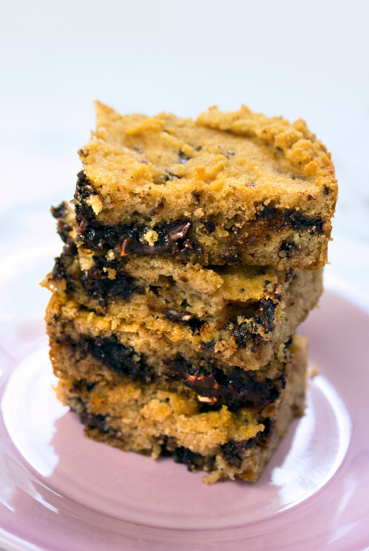 Coconut Flour Chocolate Chunk Cookie Bars