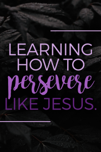 How to Persevere Like Jesus