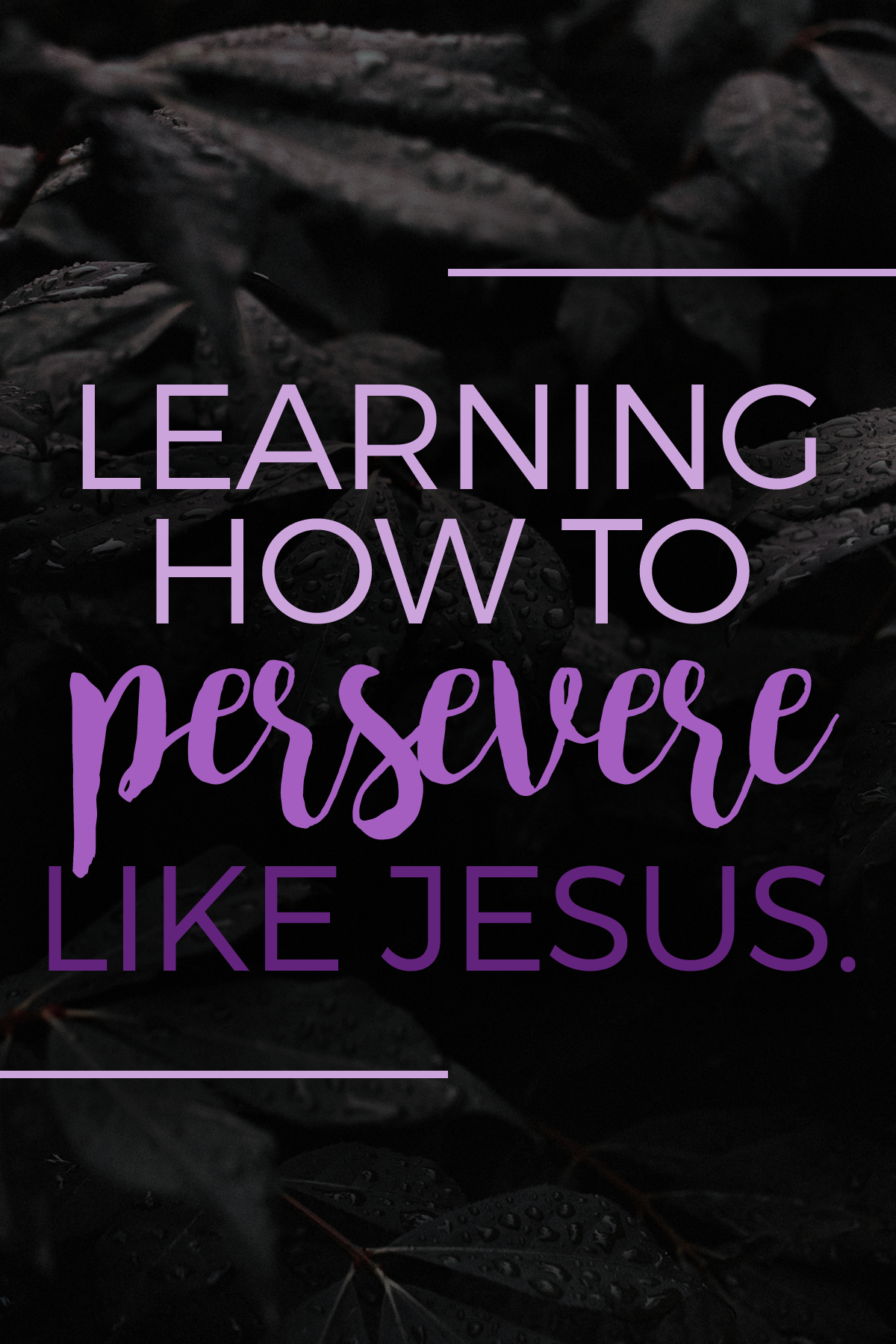 If God has called us to it, He will see us through it. We can #persevere because the same Spirit that raised Jesus from the grave lives in us!